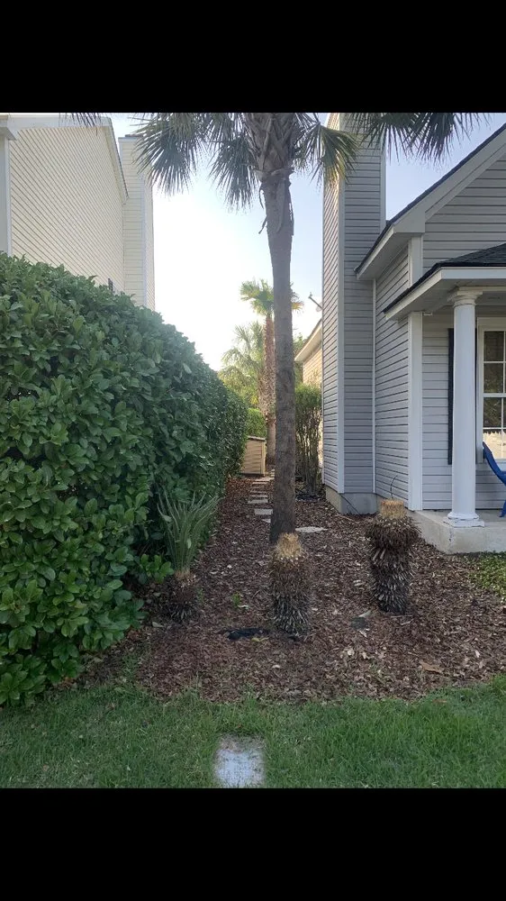 Affordable residential landscaping experts serving Bluffton, SC - Marshland Mowing Services