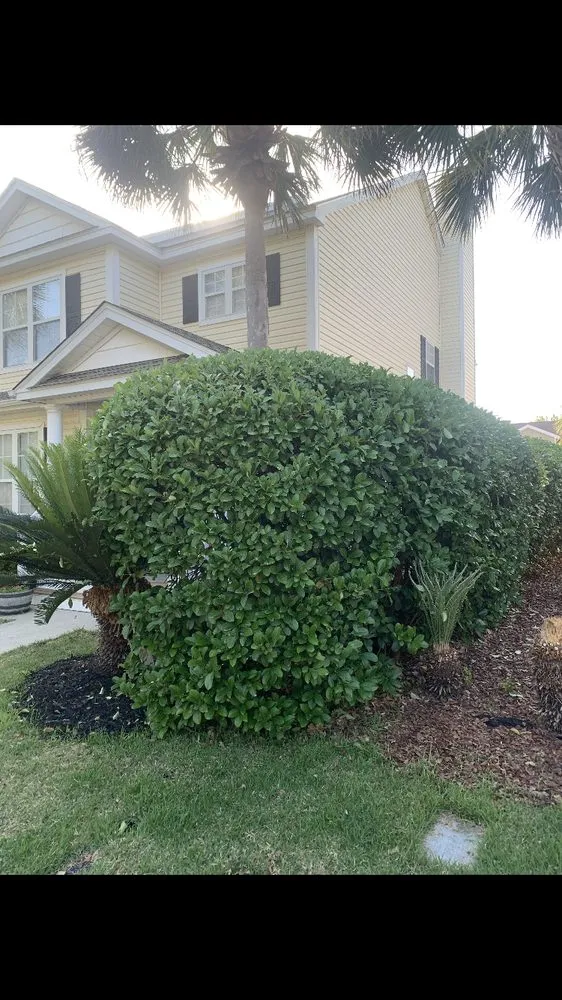 Trusted outdoor landscaping experts serving Bluffton, SC - Marshland Mowing Services