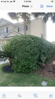 Marshland Mowing Services Logo