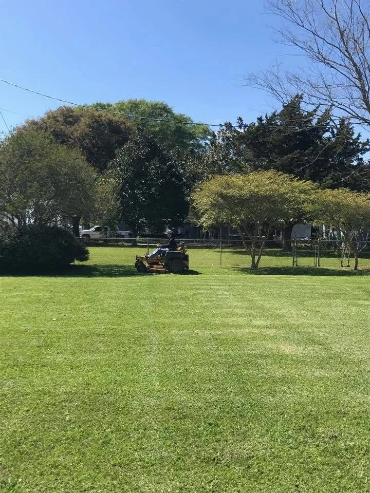Professional landscape installation in Iowa, LA by Marshland Property Design