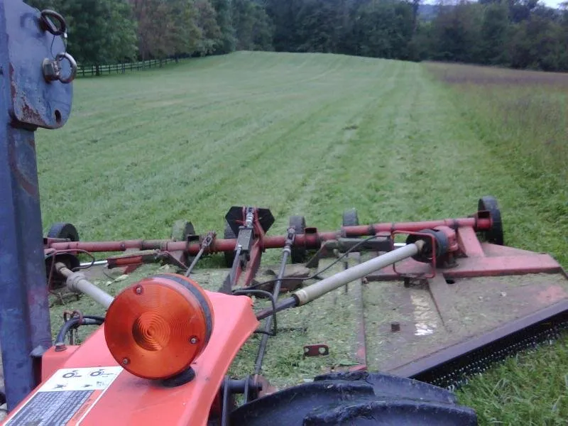 Custom landscaping services for residential properties in Iowa, LA by Marshland Property Design