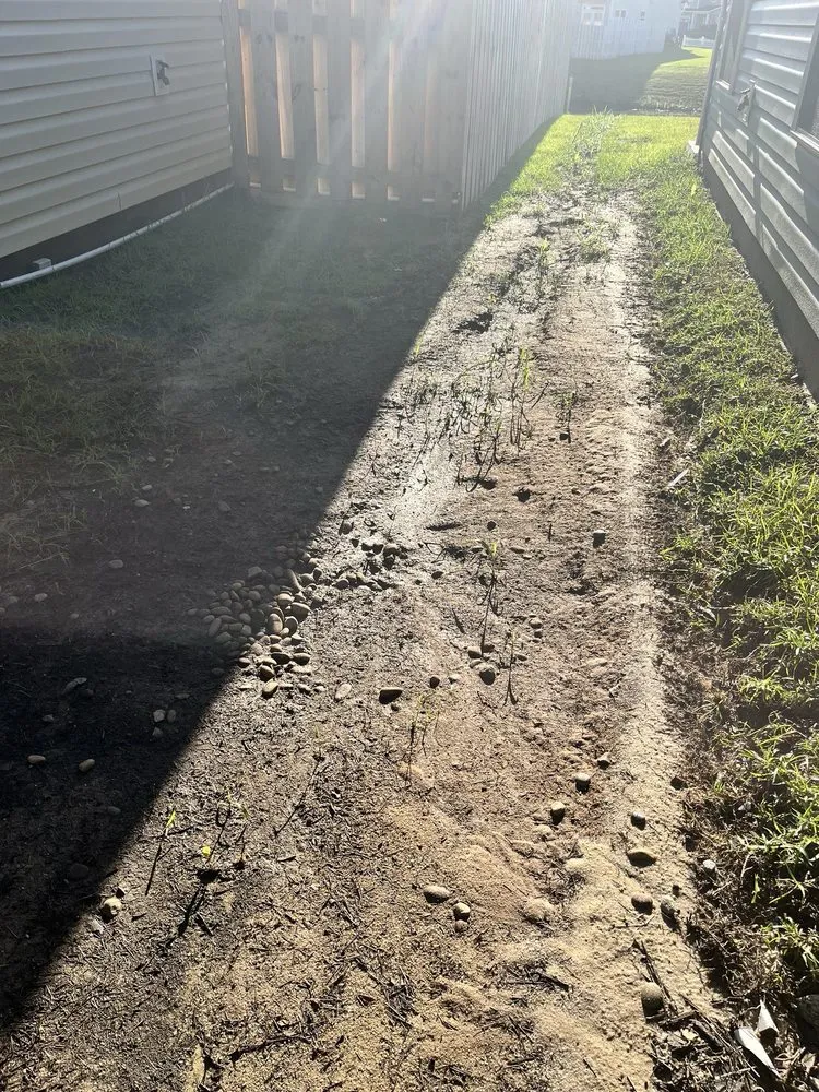 Local garden landscaping experts serving Savannah, GA - Marsh's Views