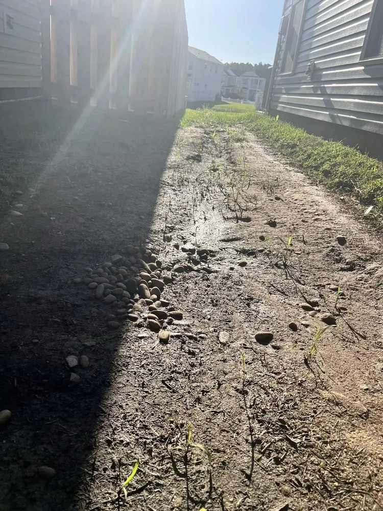 Local lawn care service near you across Savannah, GA - Marsh's Views