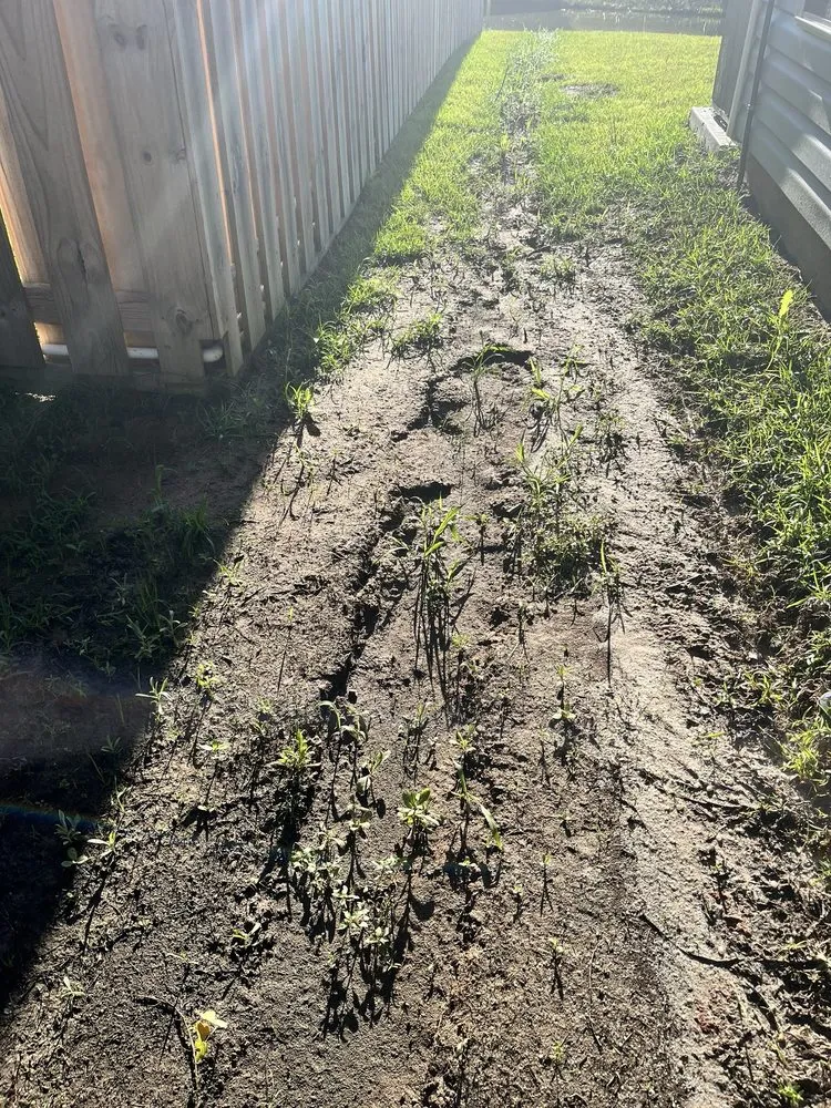 Top-rated garden landscaping in Savannah, GA - Marsh's Views