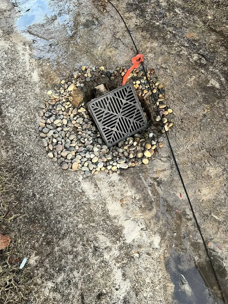 Affordable landscape installation in Savannah, GA - Marsh's Views