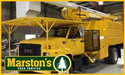 Professional landscape installation in Naples, ME by Marstons Tree Service