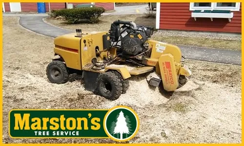 Top-rated outdoor landscaping in Naples, ME - Marstons Tree Service