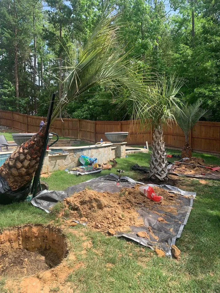 Local lawn care service near you in Rock Hill, SC by MART-NEZ Landscape Service