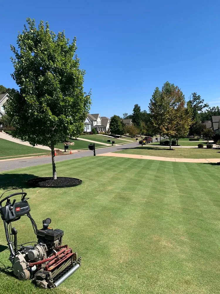 Reliable landscape design with custom design across Rock Hill, SC - MART-NEZ Landscape Service