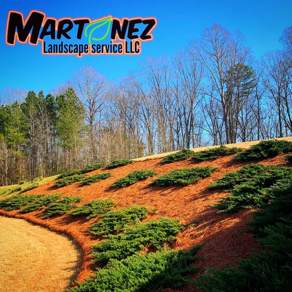 Expert garden landscaping in Rock Hill, SC by MART-NEZ Landscape Service