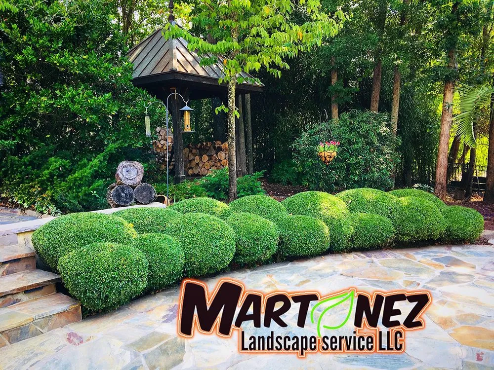 Affordable landscape design in Rock Hill, SC - MART-NEZ Landscape Service