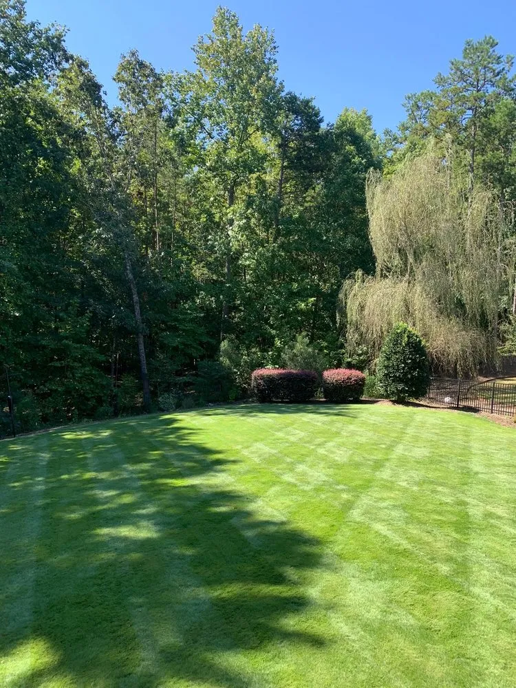 Professional landscape design in Rock Hill, SC by MART-NEZ Landscape Service