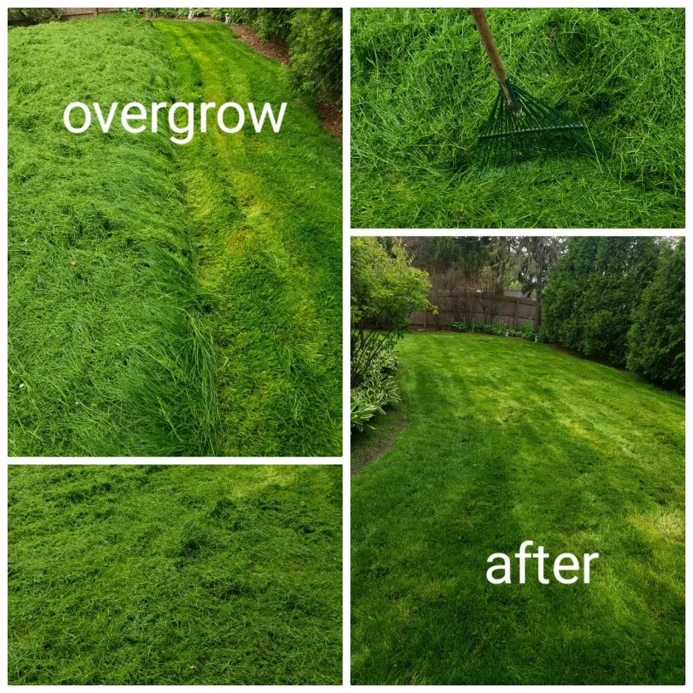 Custom outdoor landscaping in Gurnee, IL - Martell Landscaping