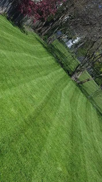 Local landscaping services in Gurnee, IL - Martell Landscaping