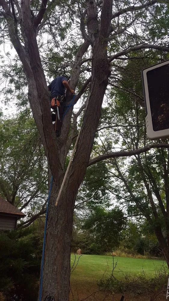 Affordable lawn care service experts serving Gurnee, IL - Martell Landscaping