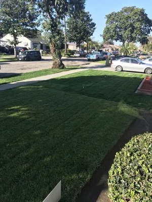 Martell’s Green Landscaping Logo