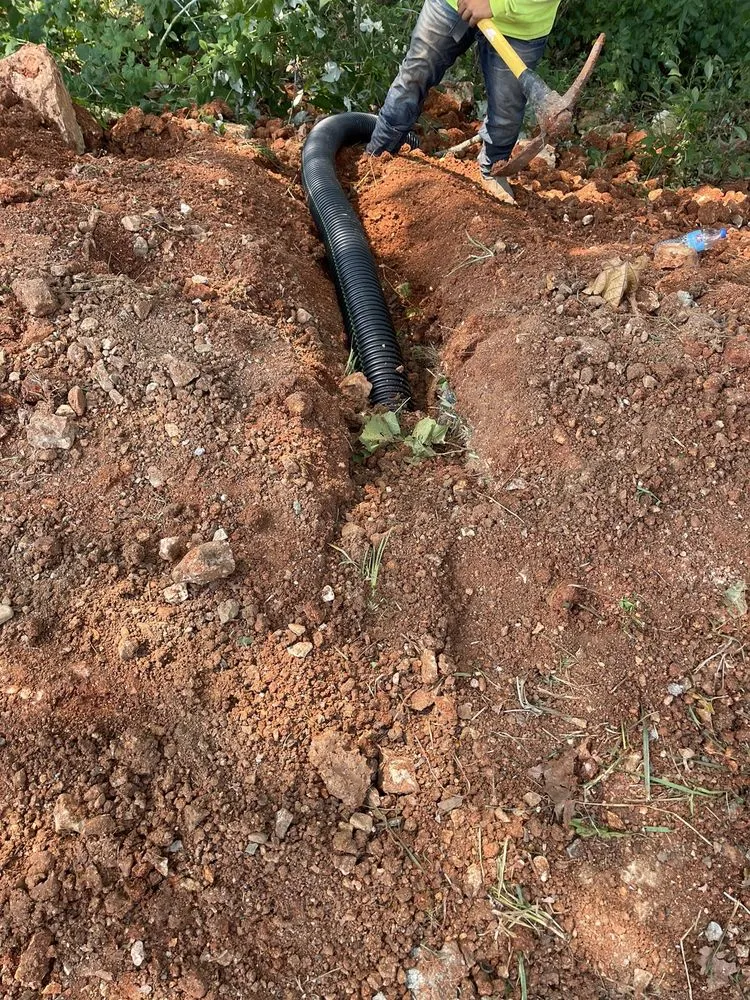 Top-rated yard cleanup service experts serving Springdale, AR - Martel's Landscaping