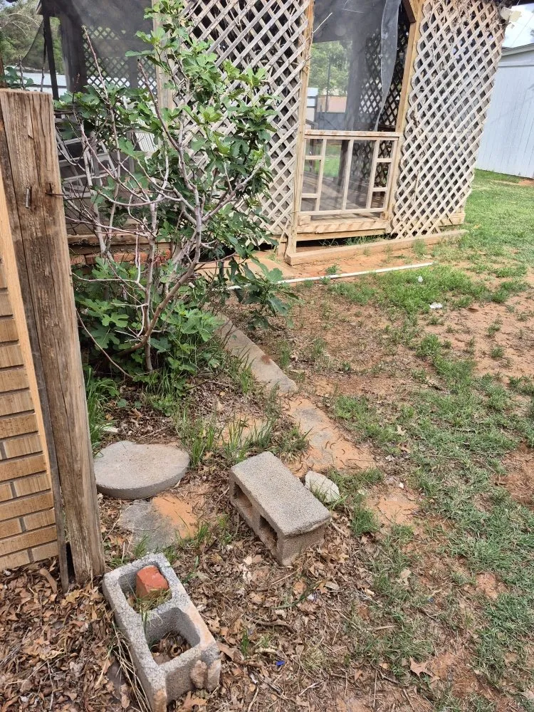 Professional yard maintenance for outdoor upgrades across Lamesa, TX - Martens Small Yard Mowing and Trimming