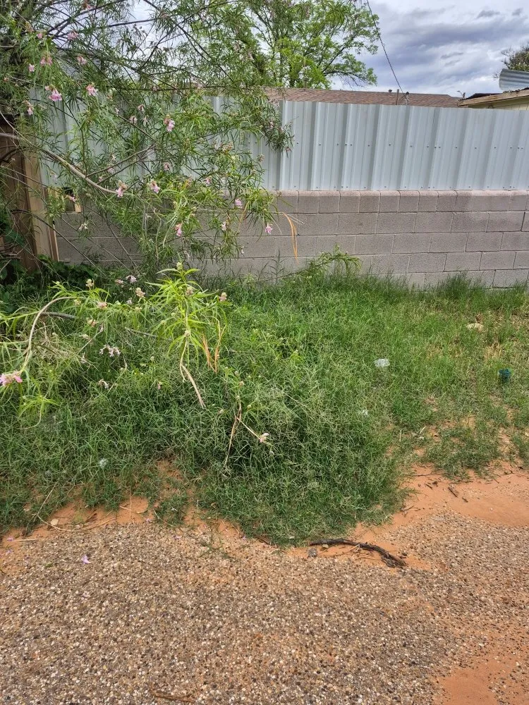 Professional landscaping services in Lamesa, TX by Martens Small Yard Mowing and Trimming