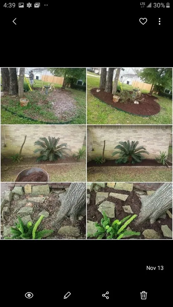 Top-rated landscape design in Crosby, TX - Martex Landscaping