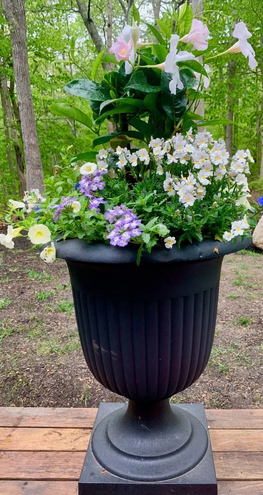 Custom landscaping services in Vineyard Haven, MA - Martha's Vineyard Landscape Company