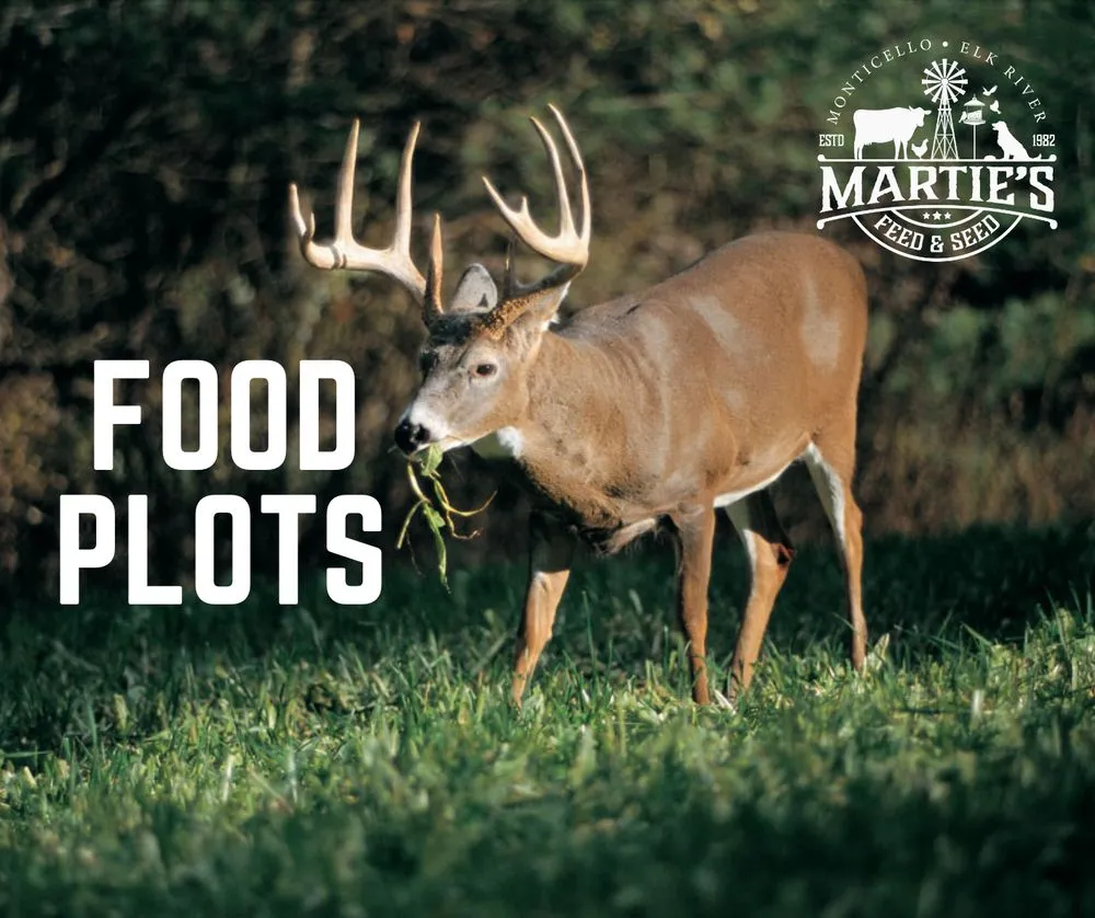 Expert yard cleanup service with custom design in Monticello, MN by Martie's Farm Service