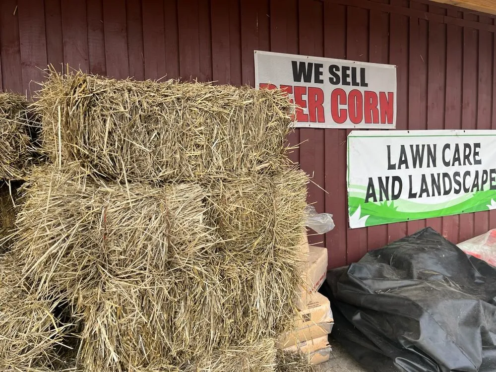 Expert lawn mowing service in Monticello, MN - Martie's Farm Service