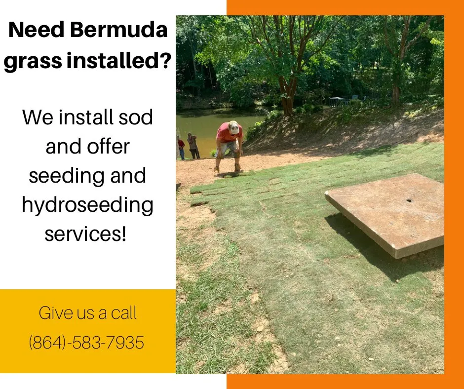 Top-rated garden landscaping in Spartanburg, SC - Martin & Son Contracting