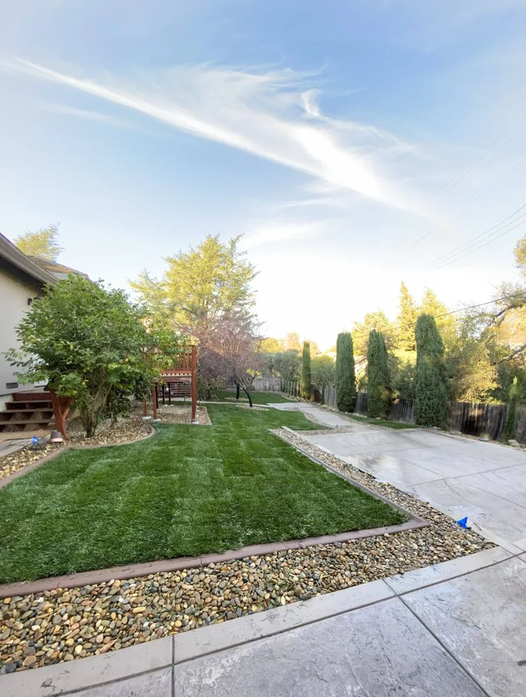 Trusted yard cleanup service in Roseville, CA - Martin & Son's Landscape