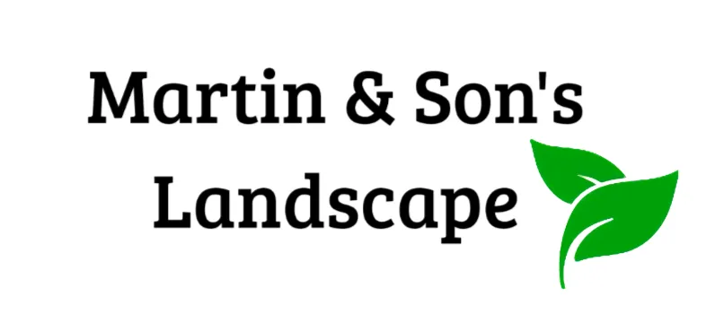 Professional landscape installation in Roseville, CA by Martin & Son's Landscape