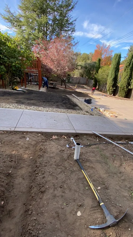 Professional yard cleanup service for year-round maintenance across Roseville, CA - Martin & Son's Landscape