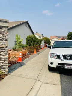 Expert yard cleanup service in Roseville, CA - Martin & Son's Landscape