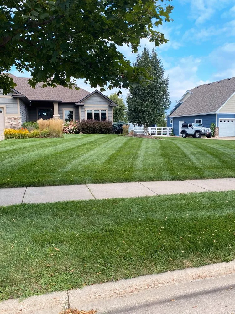 Expert yard cleanup service with custom design in Nerstrand, MN by Martin A Windows