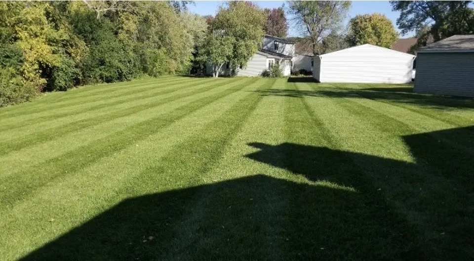 Reliable lawn mowing service in Nerstrand, MN - Martin A Windows