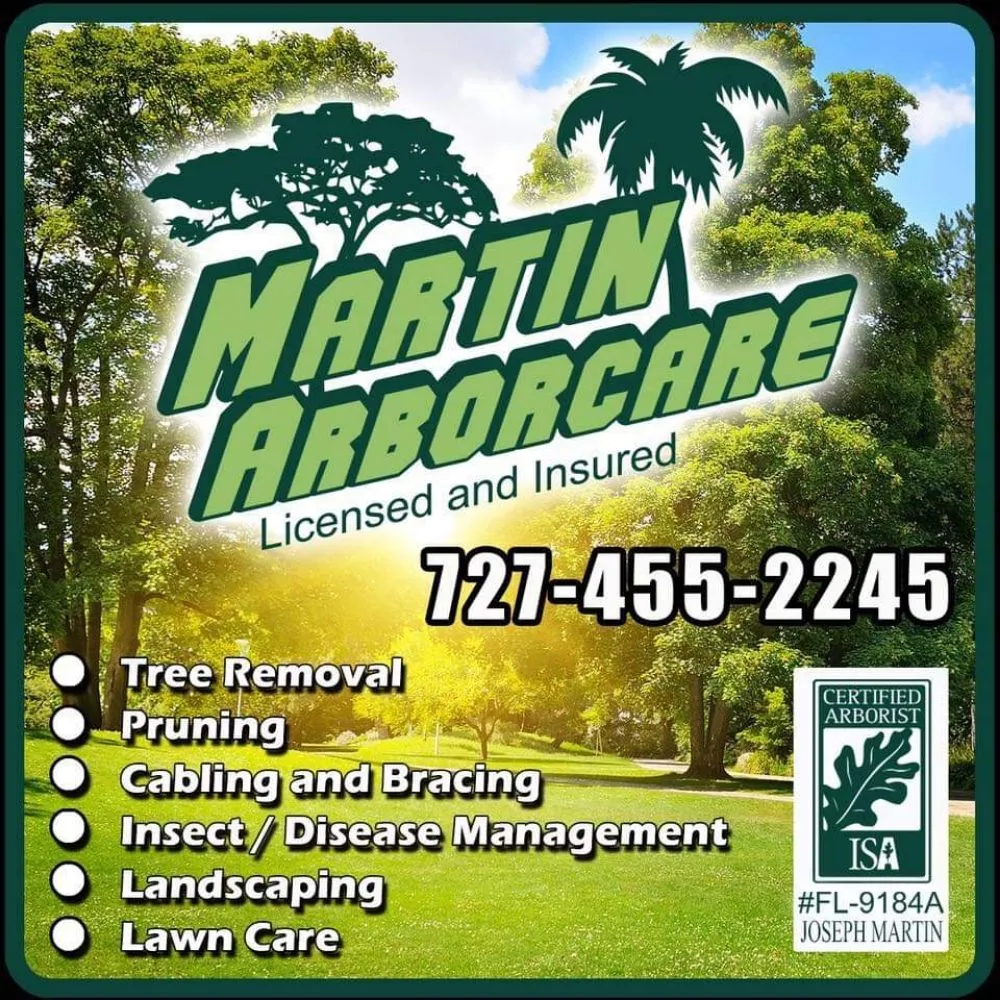 Expert landscaping services in Saint Petersburg, FL by Martin Arborcare