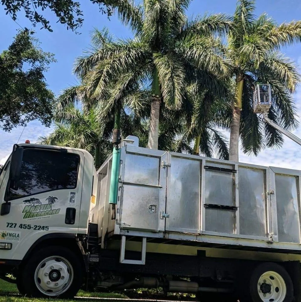 Custom residential landscaping in Saint Petersburg, FL - Martin Arborcare