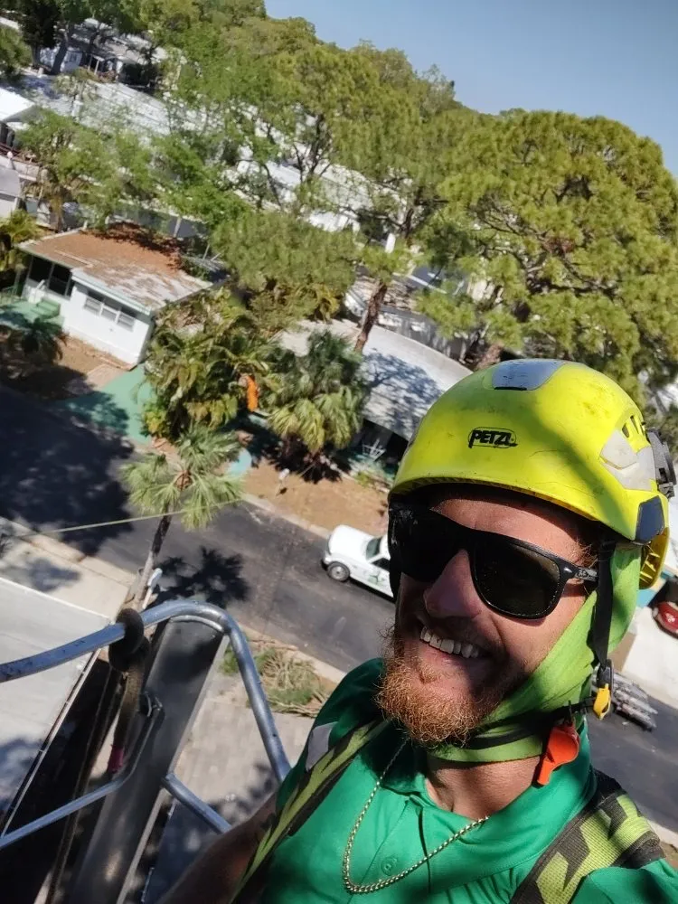 Trusted yard maintenance for beautiful yards across Saint Petersburg, FL - Martin Arborcare