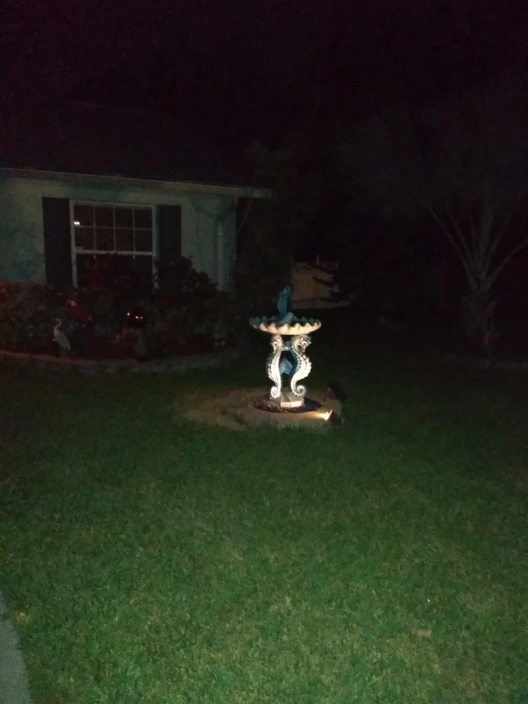 Professional landscape installation experts serving Saint Petersburg, FL - Martin Arborcare