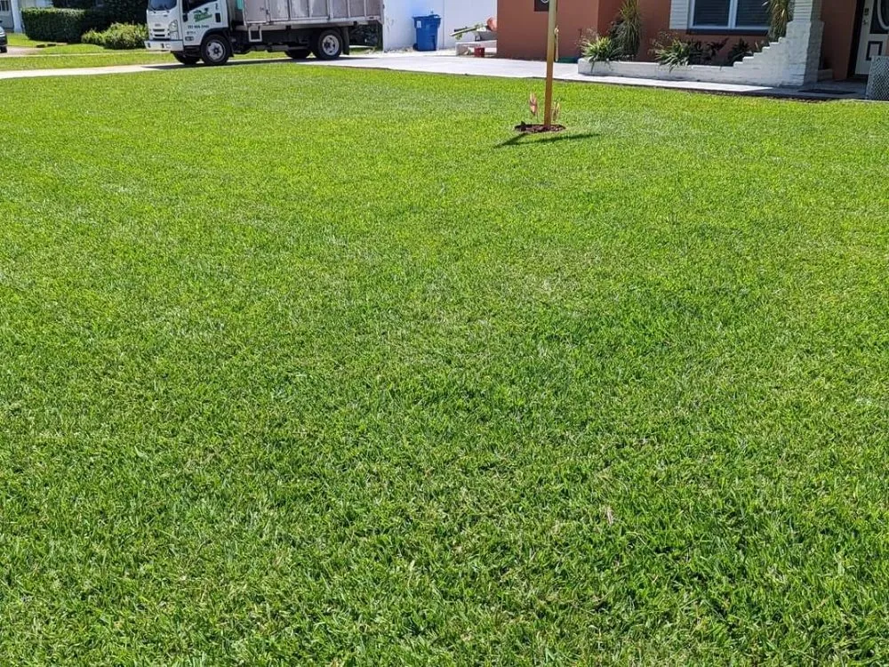 Custom garden landscaping experts serving Saint Petersburg, FL - Martin Arborcare