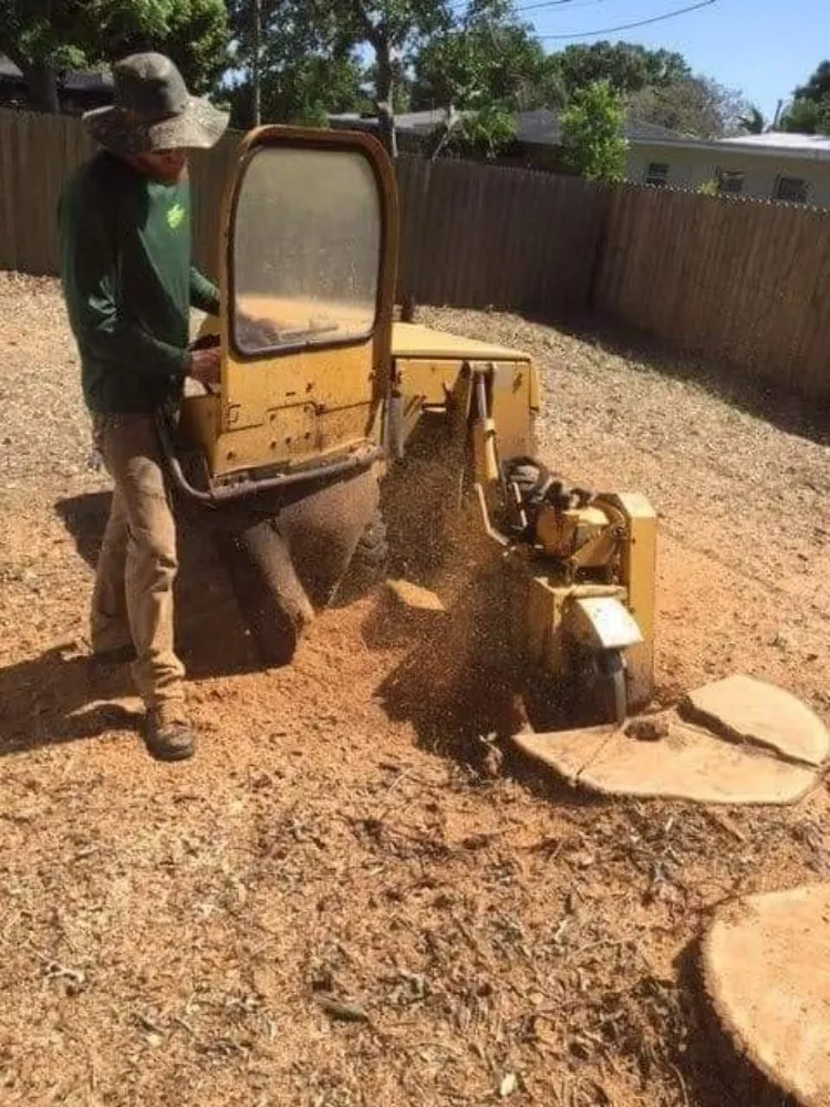 Reliable lawn mowing service for outdoor upgrades across Saint Petersburg, FL - Martin Arborcare