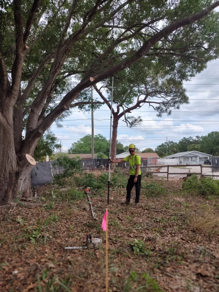 Affordable lawn care service in Saint Petersburg, FL by Martin Arborcare