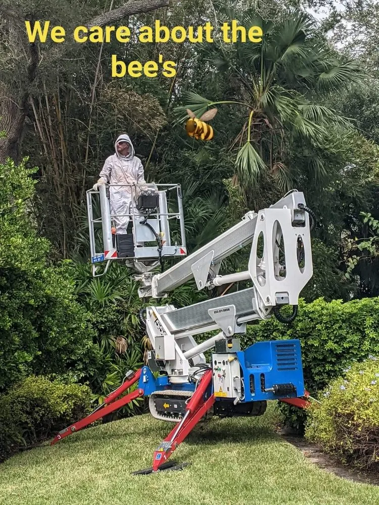 Trusted lawn care service experts serving Saint Petersburg, FL - Martin Arborcare