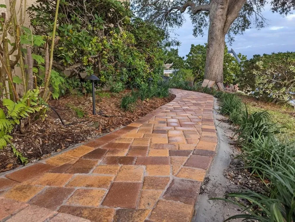 Local garden landscaping experts serving Saint Petersburg, FL - Martin Arborcare