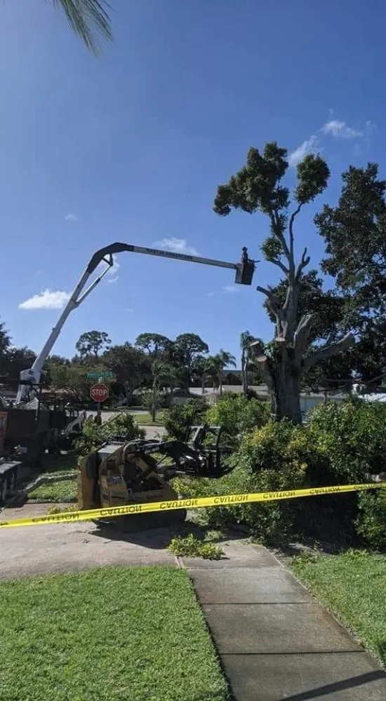 Custom landscape design experts serving Saint Petersburg, FL - Martin Arborcare