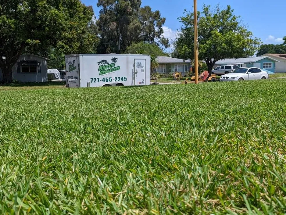 Local landscaping services for year-round maintenance across Saint Petersburg, FL - Martin Arborcare