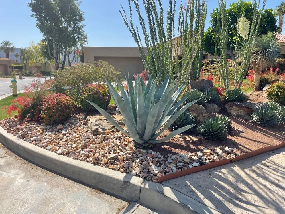 Affordable yard cleanup service experts serving Palm Desert, CA - Martin Arechiga Landscape Designs