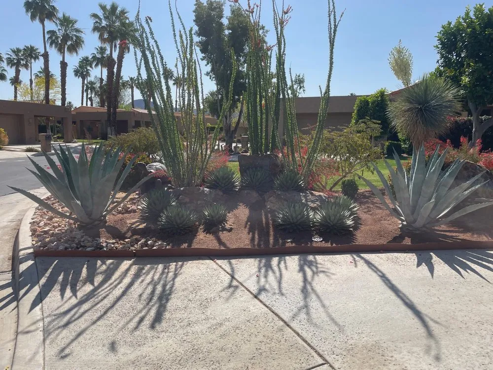 Affordable landscape design experts serving Palm Desert, CA - Martin Arechiga Landscape Designs