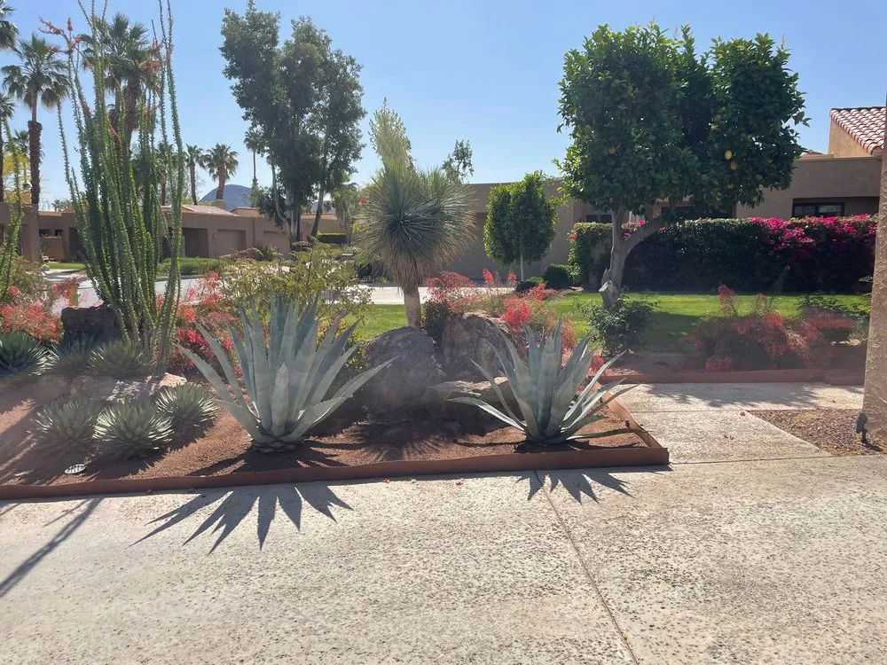 Expert garden landscaping in Palm Desert, CA by Martin Arechiga Landscape Designs