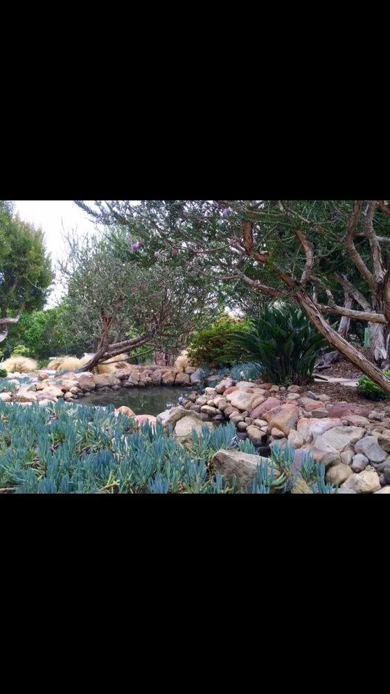 Reliable lawn care service in Santa Barbara, CA by Martin Bros Landscape Management