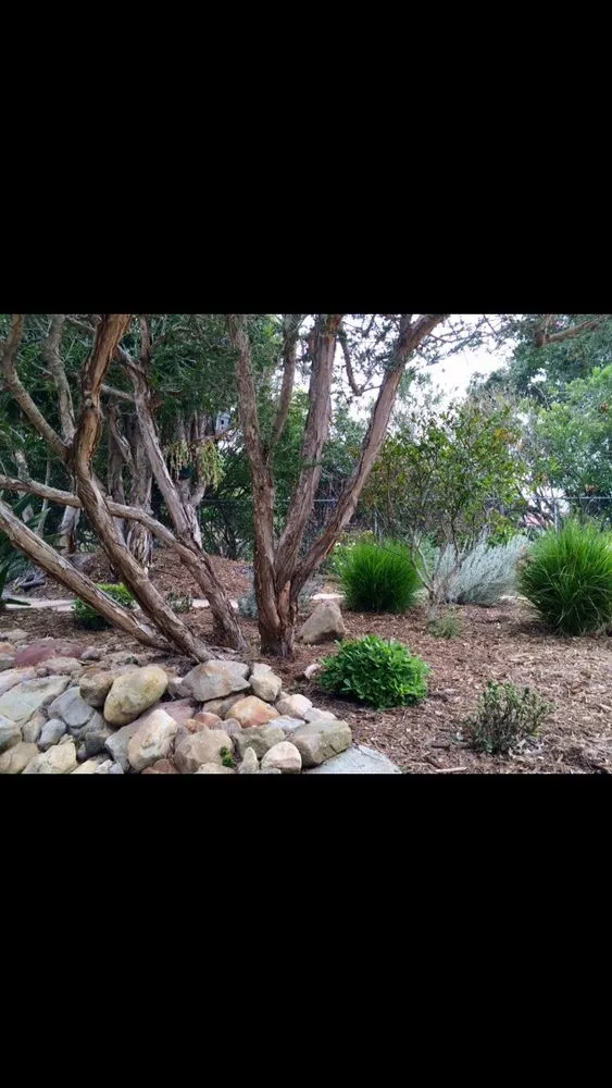 Top-rated garden landscaping in Santa Barbara, CA by Martin Bros Landscape Management
